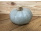 Courge "Bleu de Hongrie" ~ 2,5kg